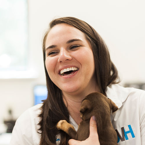 Pet Diagnostics in Shreveport University Veterinary Hospital
