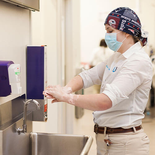 Pet Orthopedic Care & Surgery University Veterinary Hospital