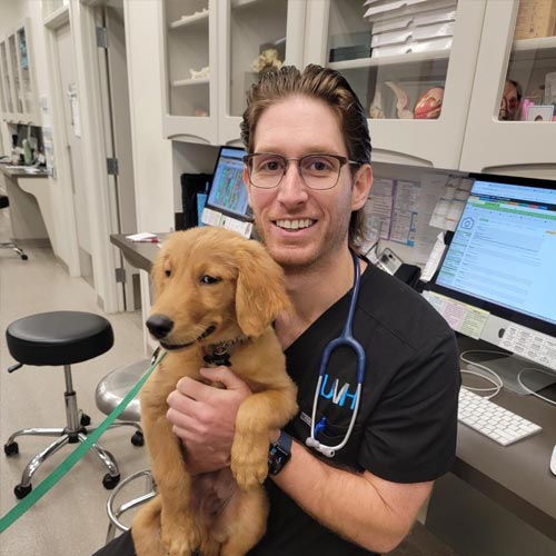 Doctor Sitting And Holding Puppy