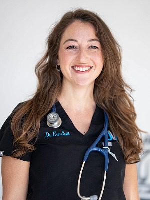 Dr. Erin Smith - female veterinarian with long brown wavy hair