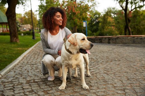 happy young woman kneeling next to yellow labrador retriever dog on a leash while walking at the park